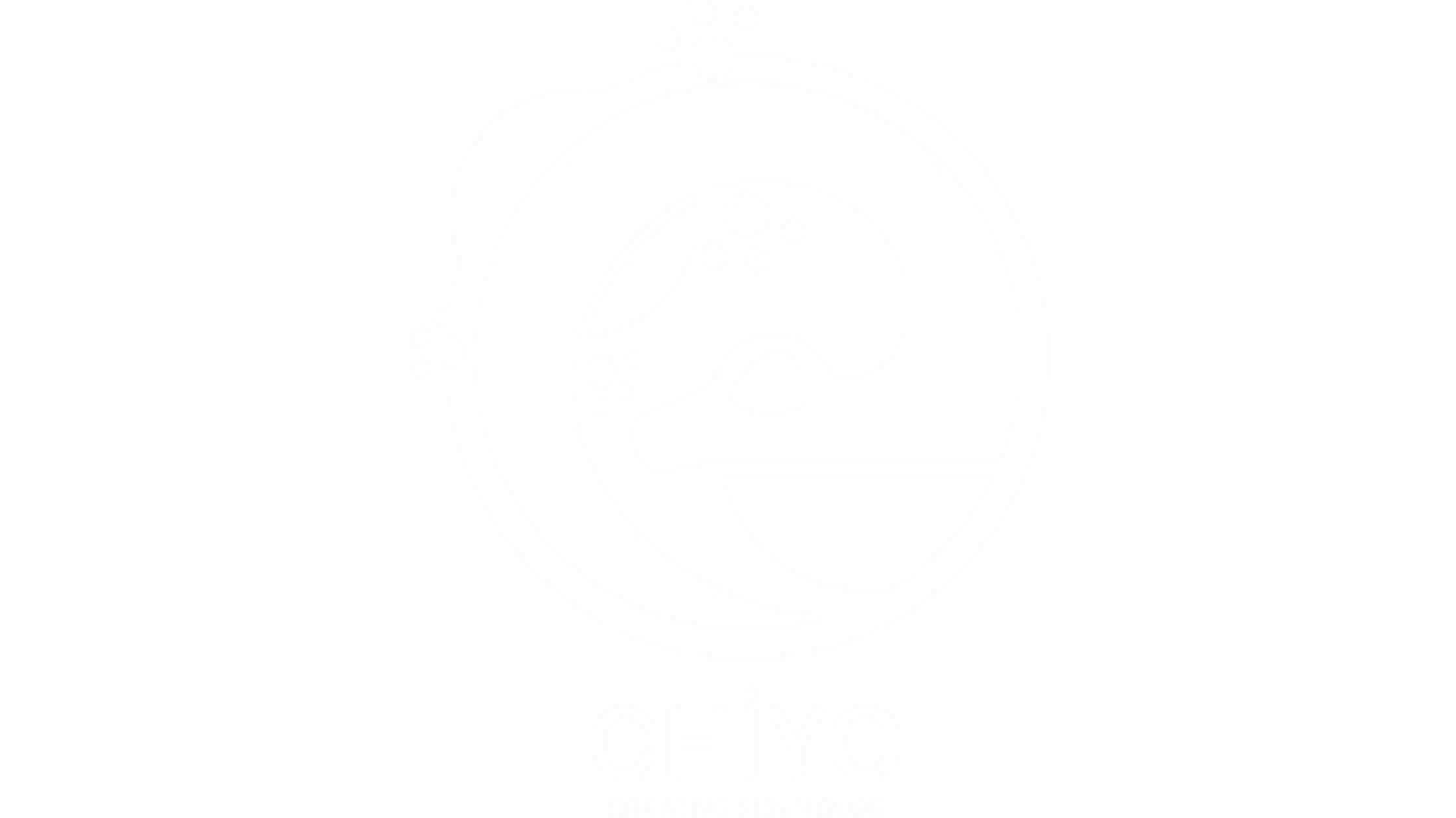 Chiyo Creative Fun House